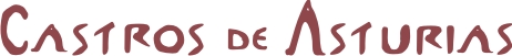 www.castrosdeasturias.es
