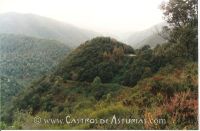 Castro de Larón. Vista general