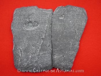 Pizarra de Carrio. Rreproducción con depósito en el Museo Arqueológico de Asturias. Foto: Ángel Villa Valdés
