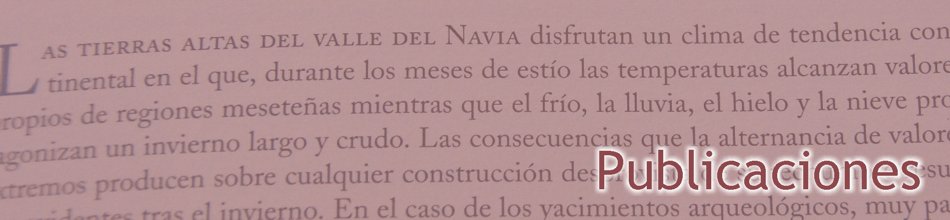 Publicaciones